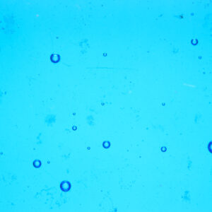 WI Deep Sky blue Reactive Opal