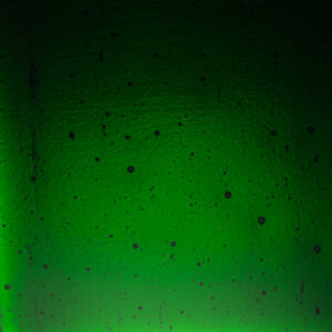 WI Parsley Transparent