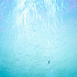 WI Deep Sky Blue Luminescent